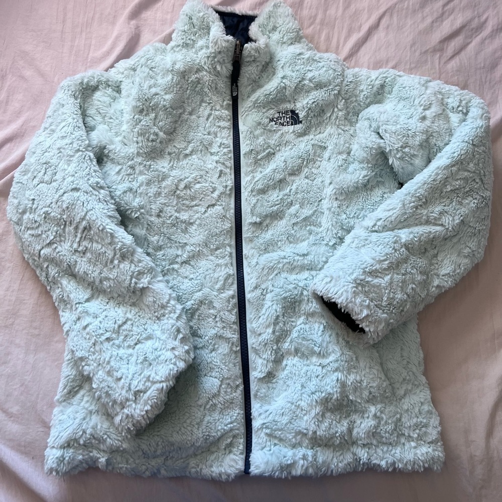 North face reversible coat
